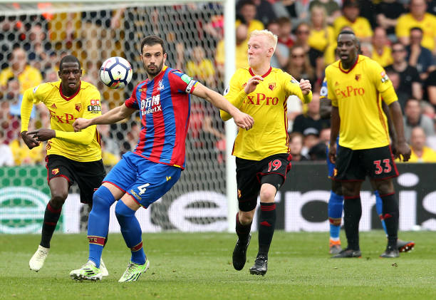 而归化则成 而归化则成